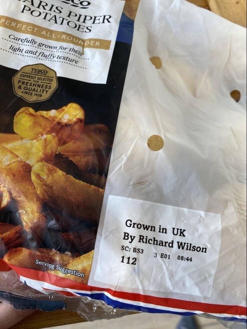 35 hallazgos inusuales e interesantes que te sorprenderán