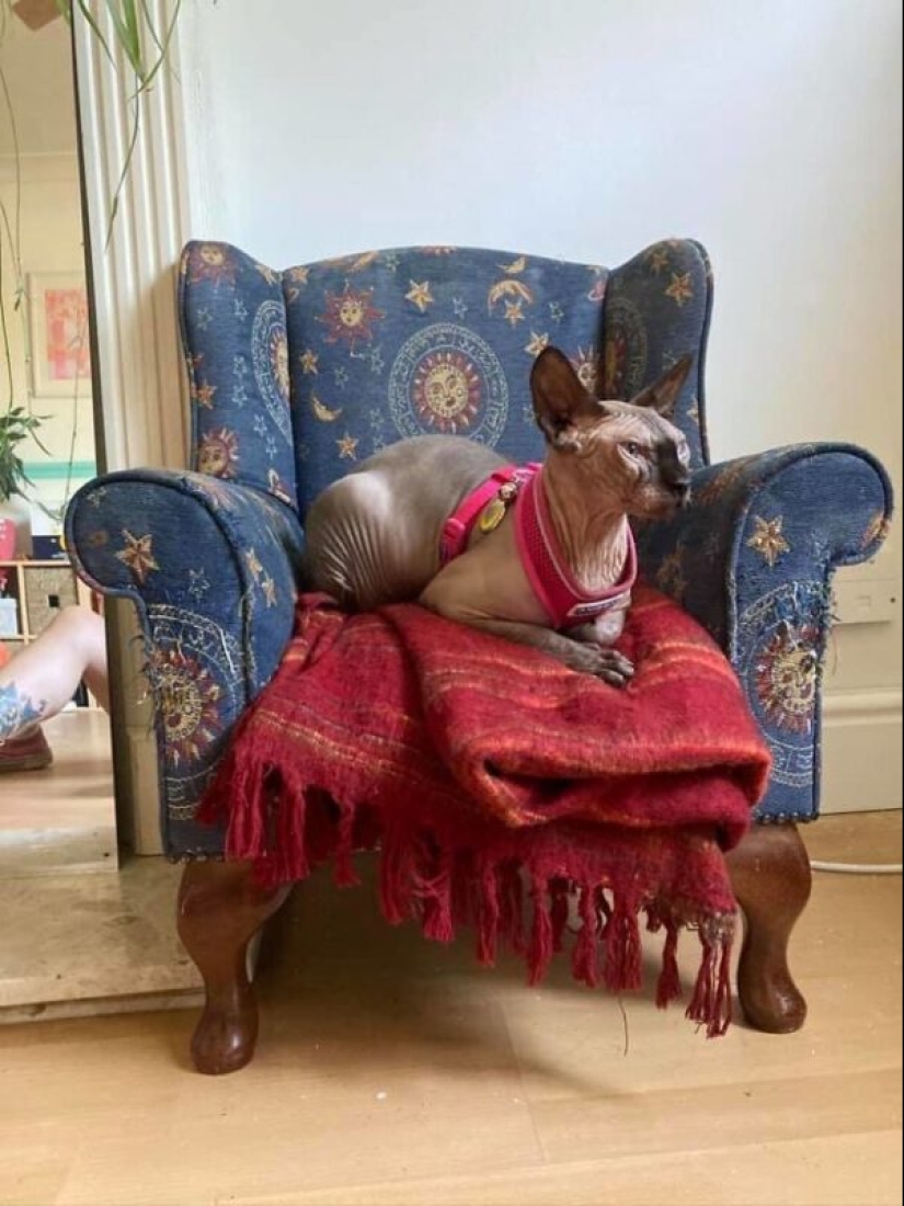 35 interesting things found at flea markets and second-hand stores 35 interesting things found at flea markets and second-hand stores