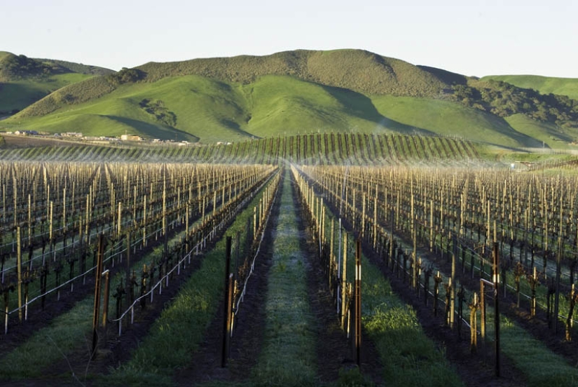 35 most beautiful vineyards in the world 35 most beautiful vineyards in the world