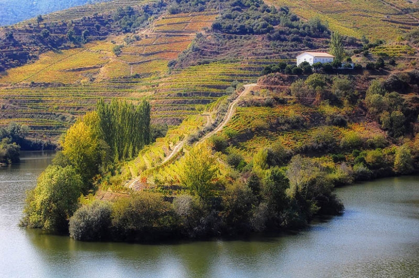 35 most beautiful vineyards in the world 35 most beautiful vineyards in the world