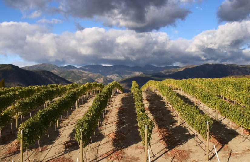 35 most beautiful vineyards in the world 35 most beautiful vineyards in the world