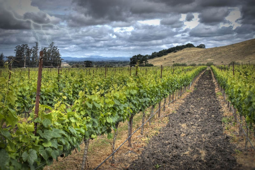 35 most beautiful vineyards in the world 35 most beautiful vineyards in the world