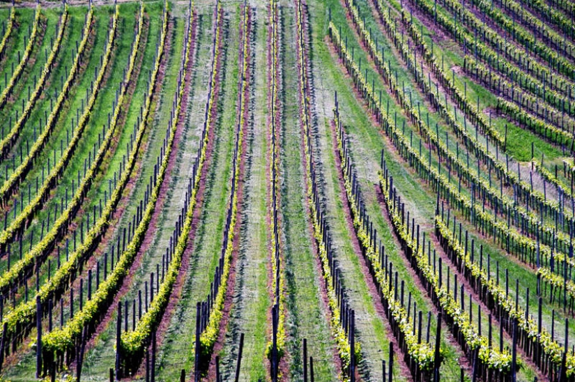 35 most beautiful vineyards in the world 35 most beautiful vineyards in the world