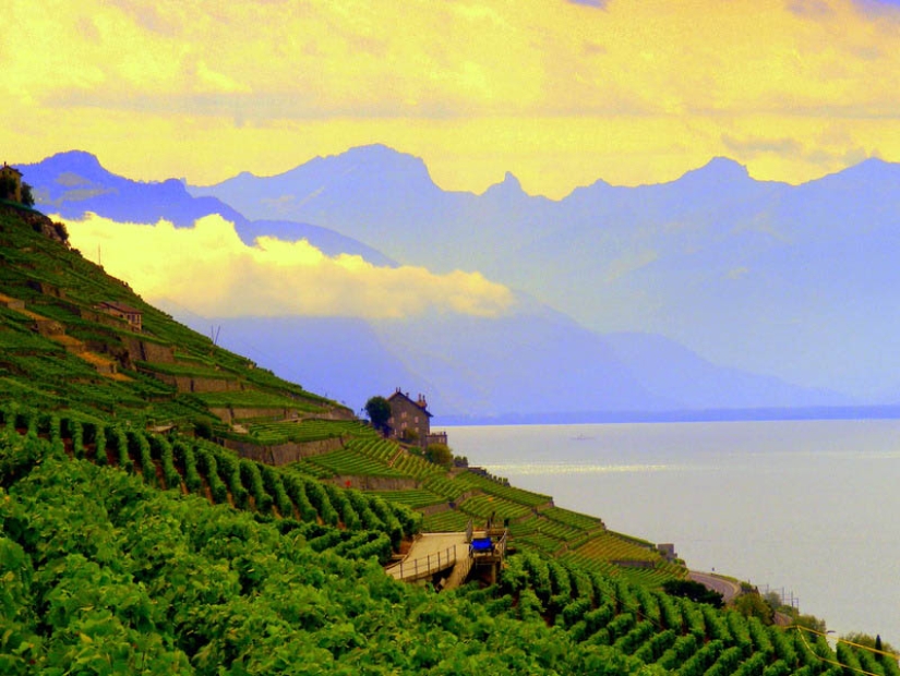 35 most beautiful vineyards in the world 35 most beautiful vineyards in the world