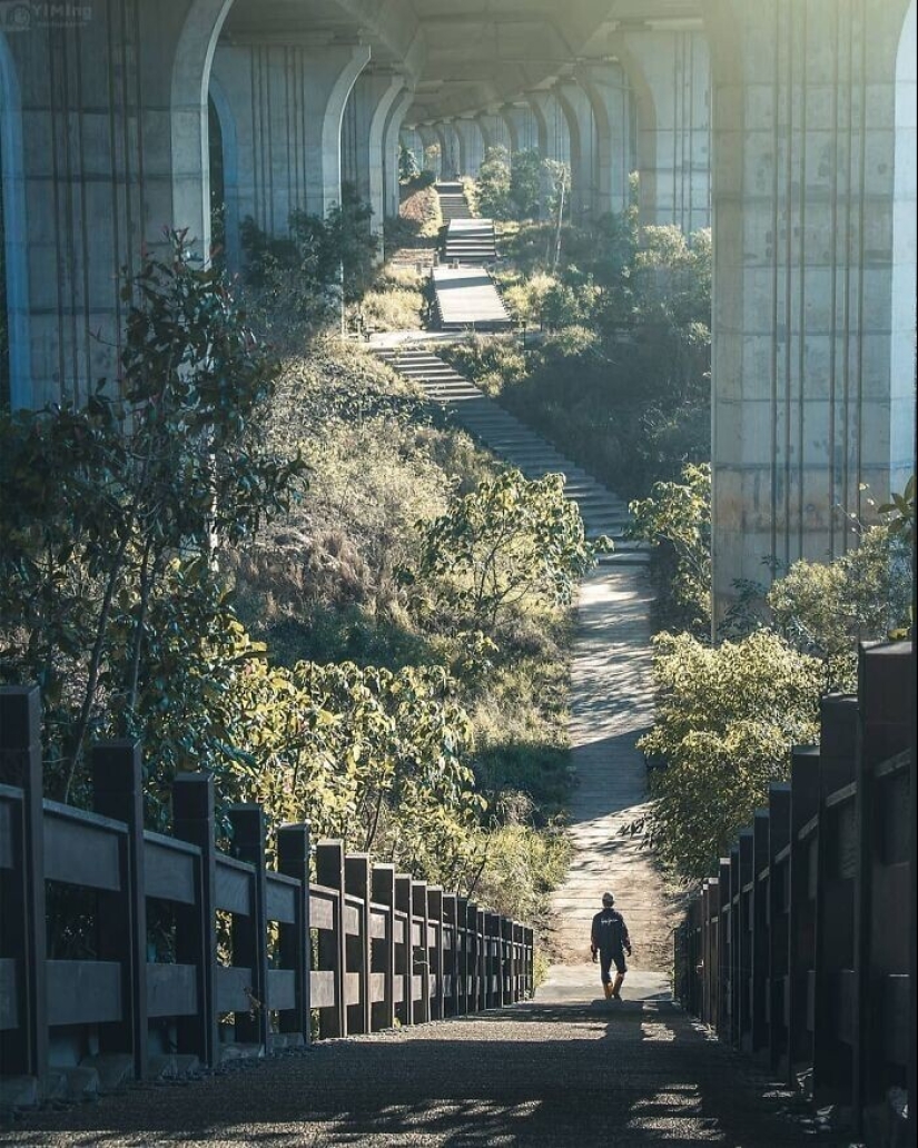 35 obras maestras de infraestructura, cuya belleza todos apreciarán