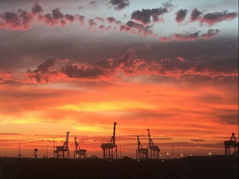 35 photos where you can see something completely different from what is depicted