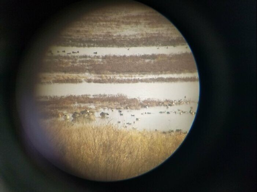 35 photos where you can see something completely different from what is depicted