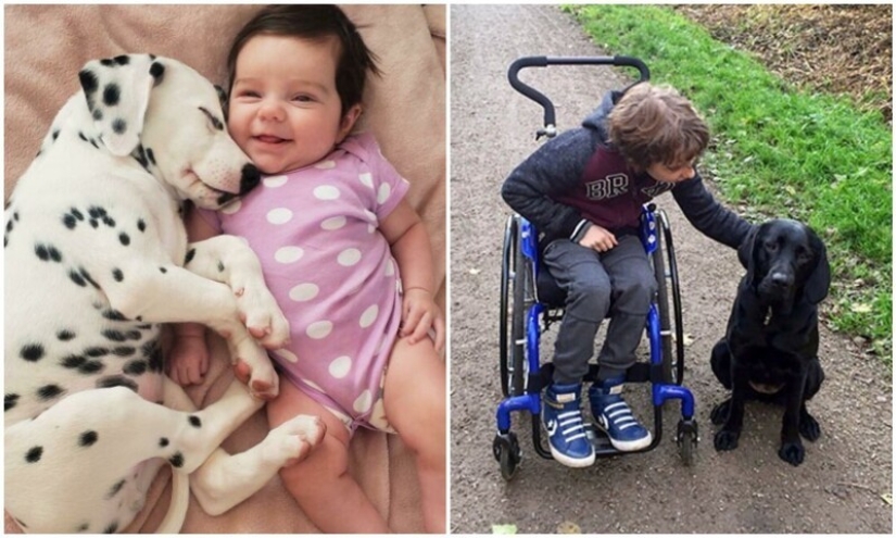 35 pruebas conmovedoras de que un perro es el mejor amigo de un niño 35 pruebas conmovedoras de que un perro es el mejor amigo de un niño