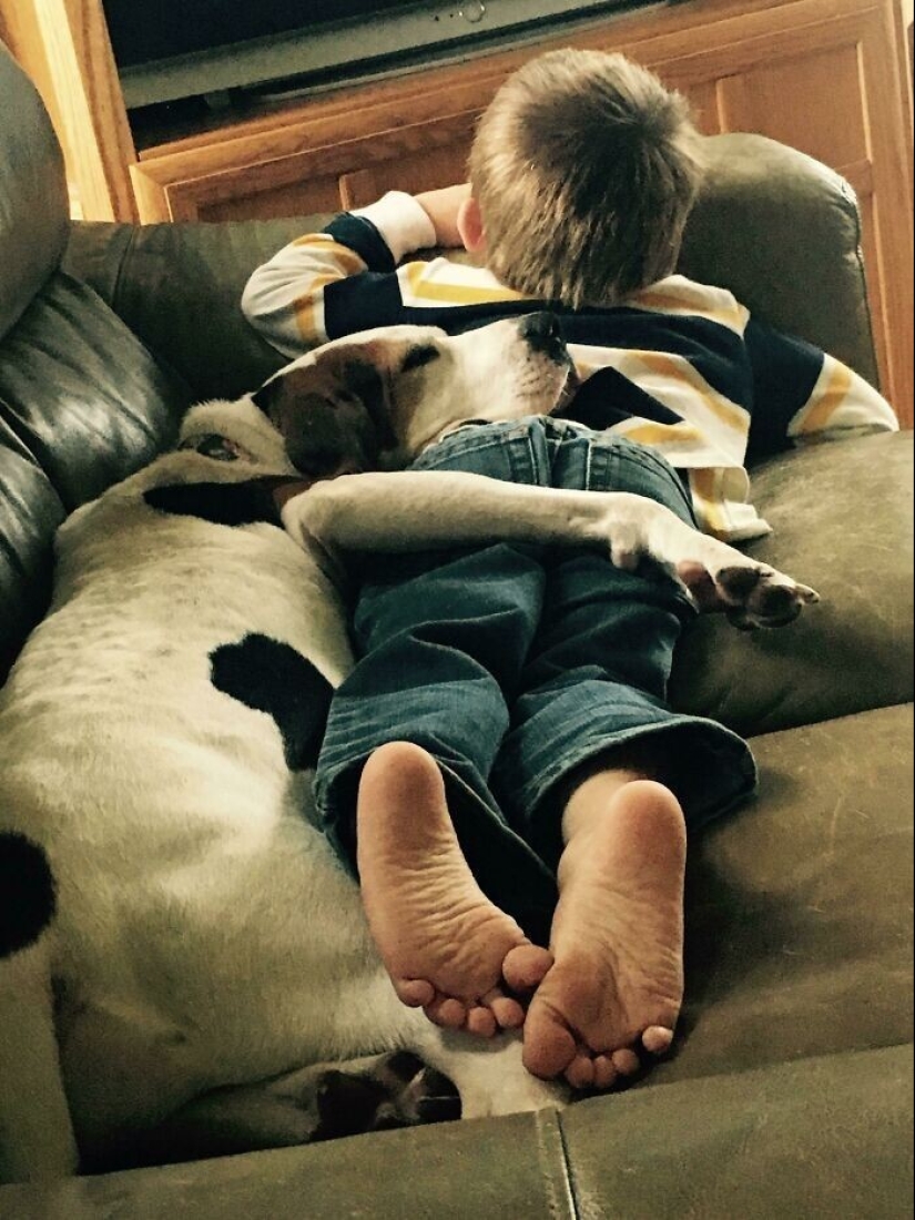 35 pruebas conmovedoras de que un perro es el mejor amigo de un niño 35 pruebas conmovedoras de que un perro es el mejor amigo de un niño