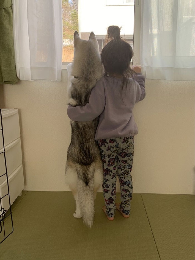 35 pruebas conmovedoras de que un perro es el mejor amigo de un niño 35 pruebas conmovedoras de que un perro es el mejor amigo de un niño