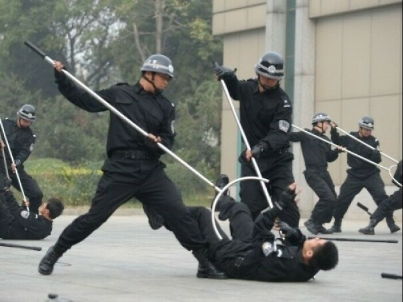 35 rare things used by people of the most unusual professions 35 rare things used by people of the most unusual professions