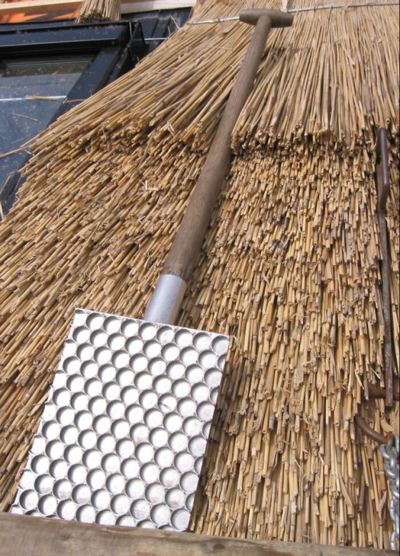 35 rare things used by people of the most unusual professions 35 rare things used by people of the most unusual professions