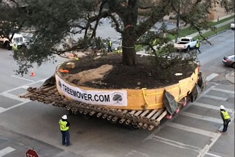 35 rare things used by people of the most unusual professions 35 rare things used by people of the most unusual professions