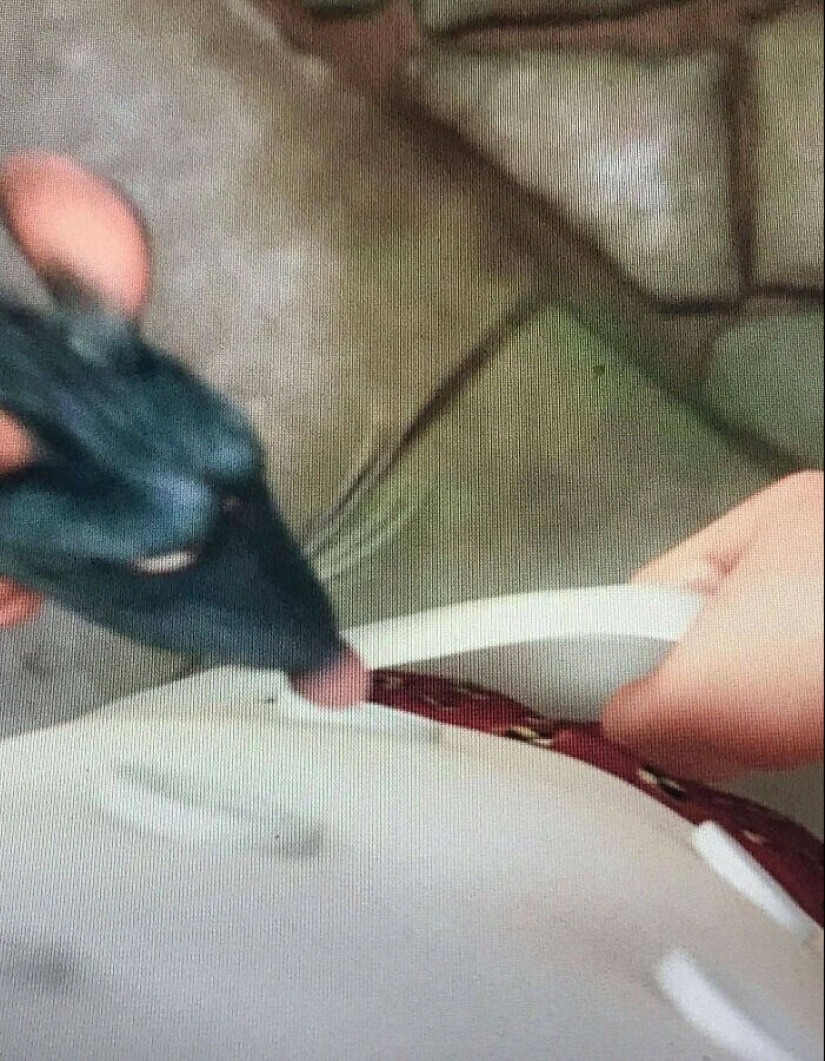 35 subtle details in the cartoon "Ratatouille" that you probably didn't notice