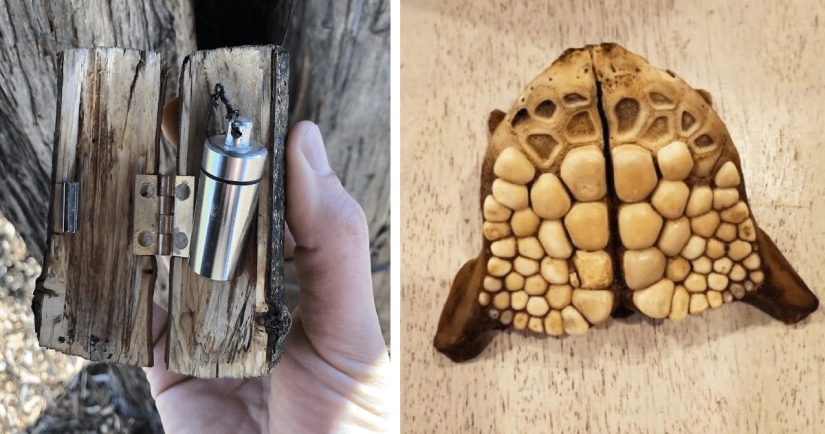 35 times when the Internet has helped people identify their unusual finds