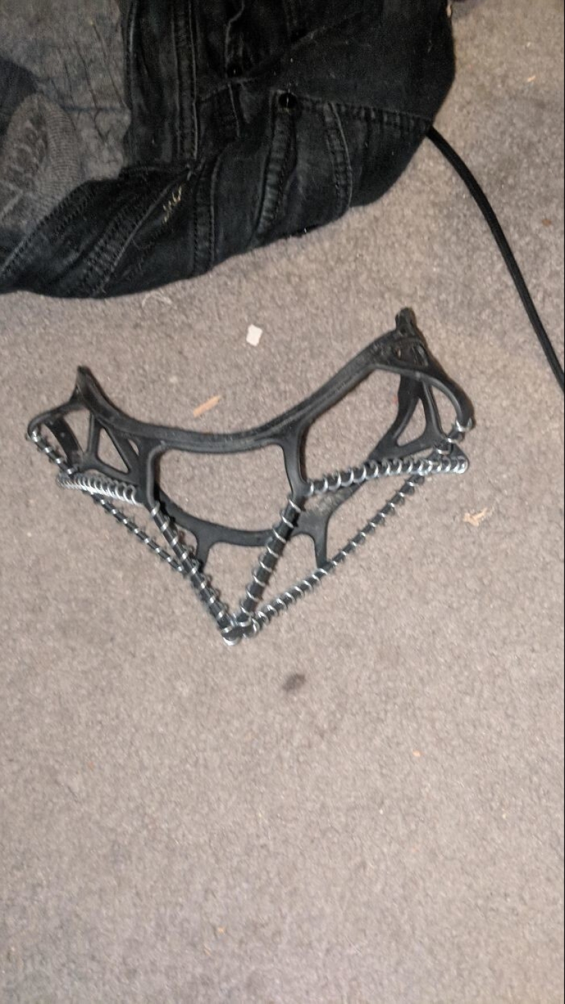 35 times when the Internet has helped people identify their unusual finds