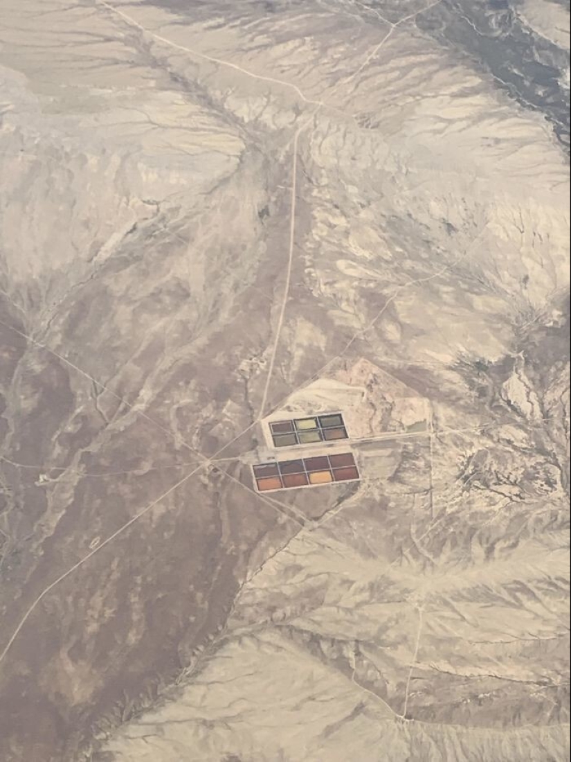 35 times when the Internet has helped people identify their unusual finds