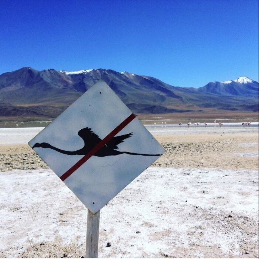 35 times when the Internet has helped people identify their unusual finds