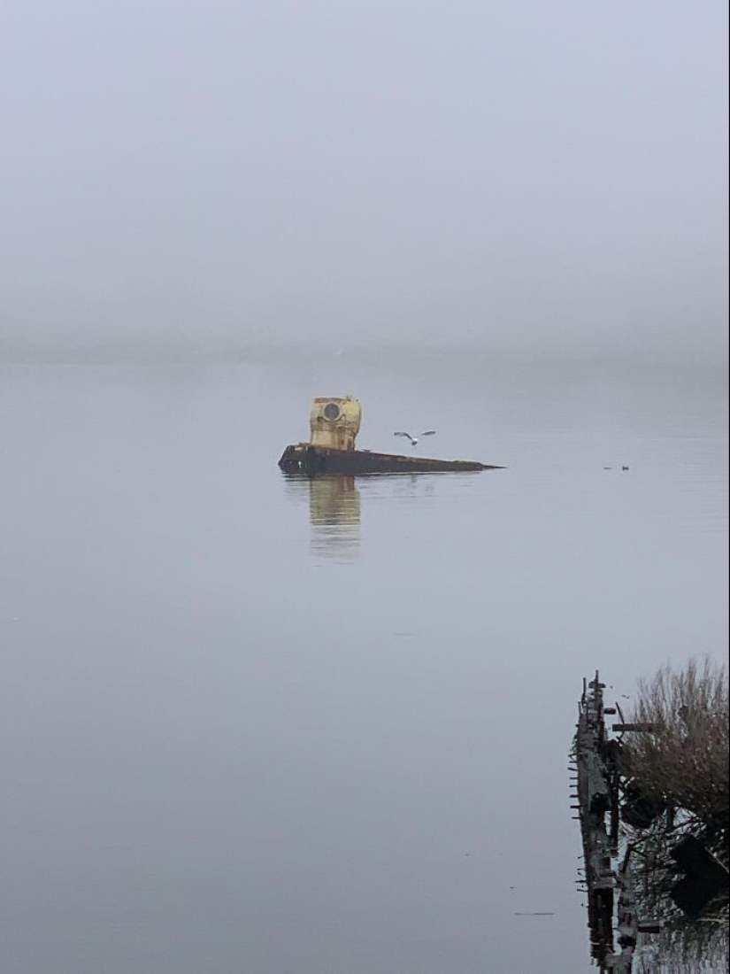 35 times when the Internet has helped people identify their unusual finds