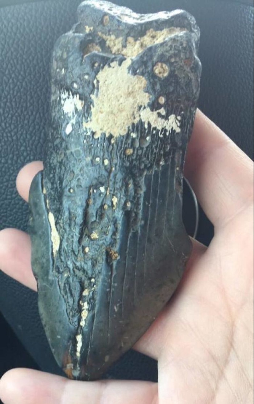 35 times when the Internet has helped people identify their unusual finds