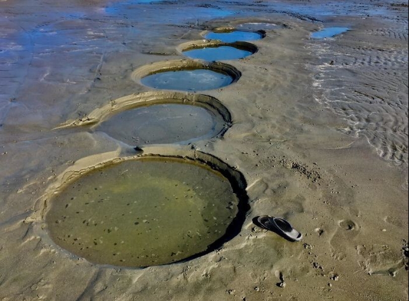 35 times when the Internet has helped people identify their unusual finds