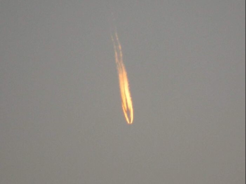 35 times when the Internet has helped people identify their unusual finds