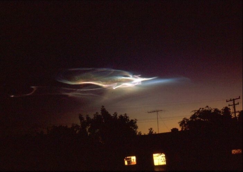 35 times when the Internet has helped people identify their unusual finds