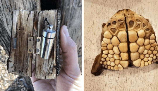 35 times when the Internet has helped people identify their unusual finds