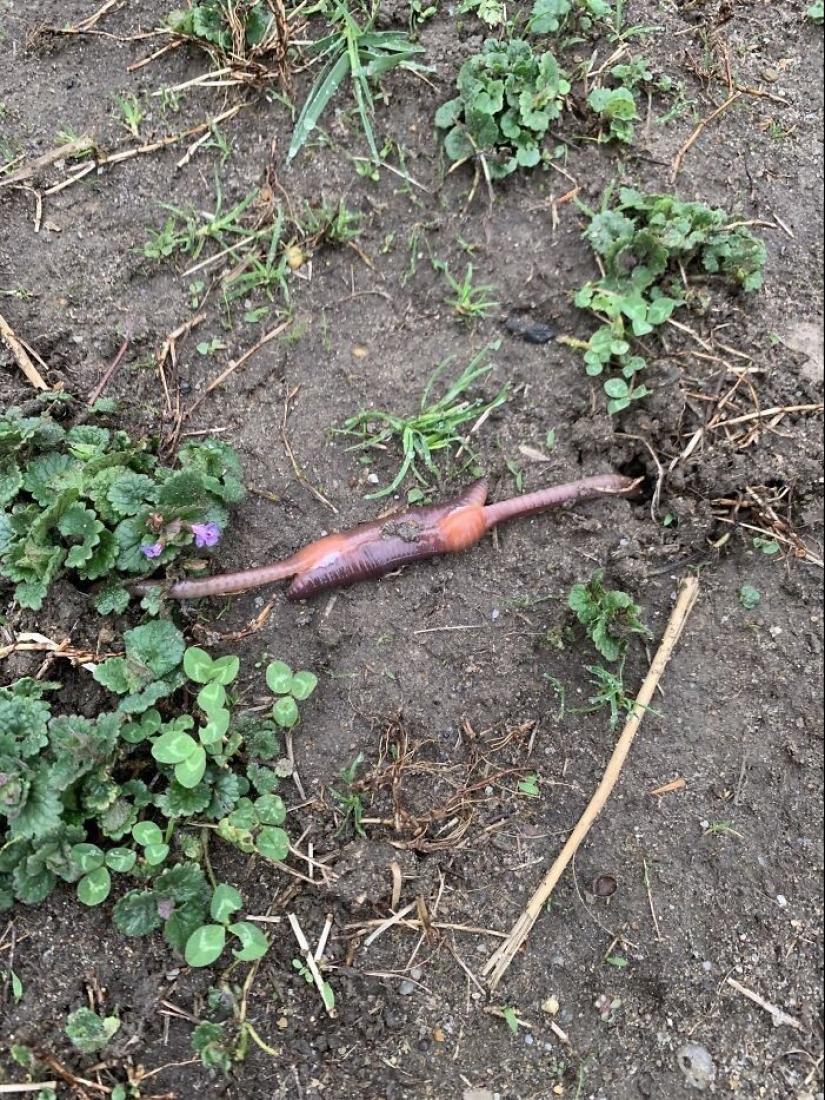 35 times when the Internet has helped people identify their unusual finds