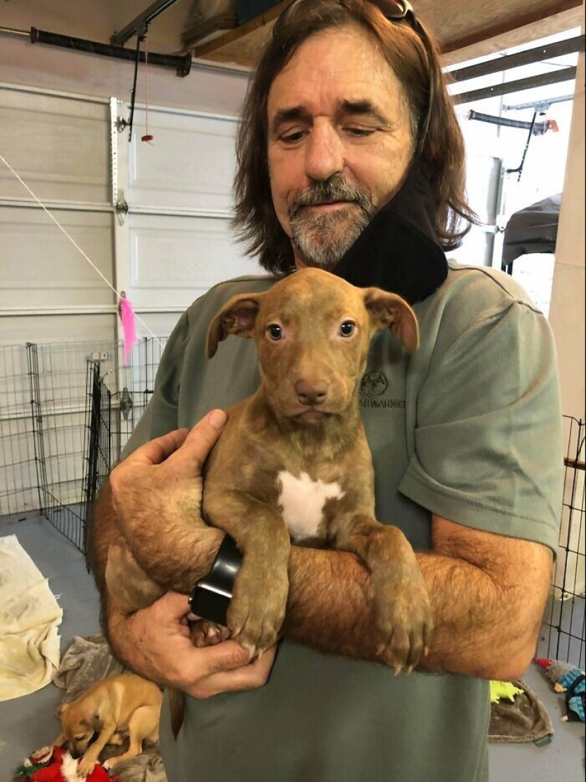 35 touching photos of animals that have been given a new life 35 touching photos of animals that have been given a new life