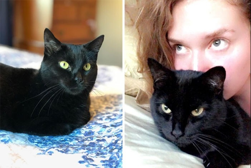 35 touching photos of animals that have been given a new life 35 touching photos of animals that have been given a new life