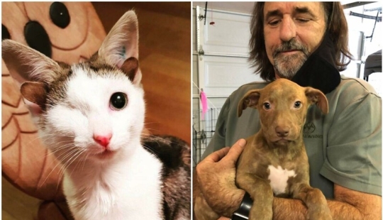 35 touching photos of animals that have been given a new life 35 touching photos of animals that have been given a new life