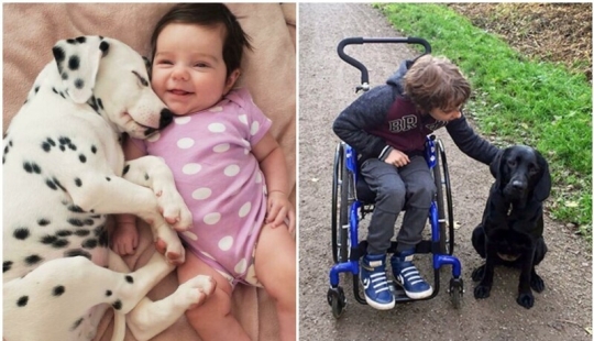 35 touching proofs that a dog is a child's best friend