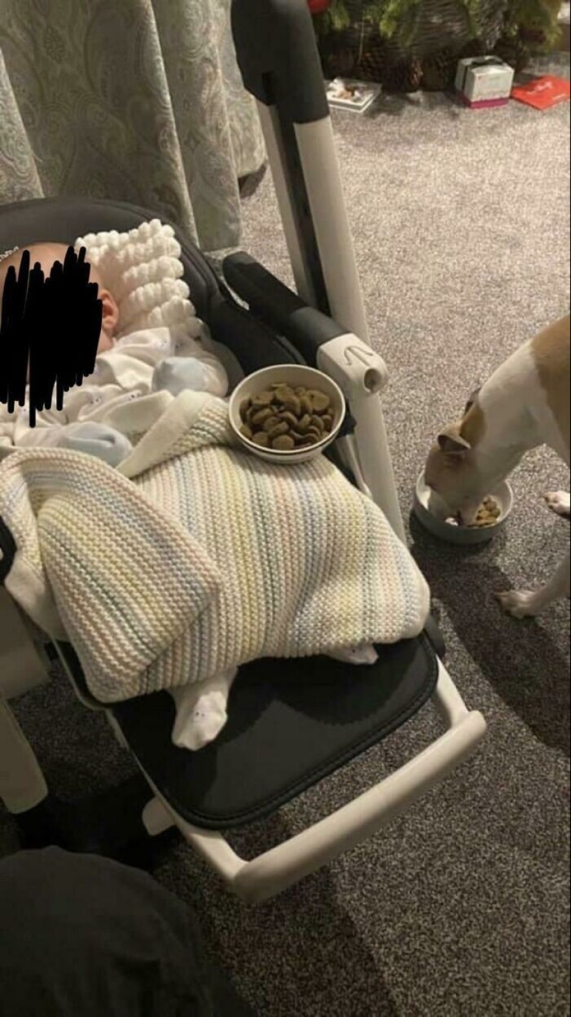 35 touching proofs that a dog is a child's best friend 35 touching proofs that a dog is a child's best friend