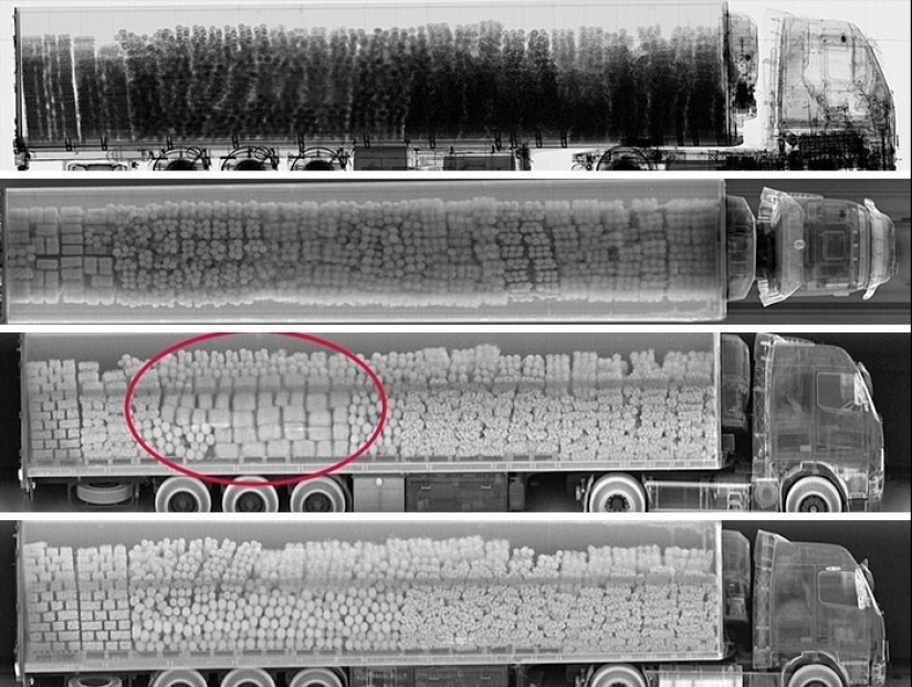 35 x-ray images that reveal the world from an unexpected quarter