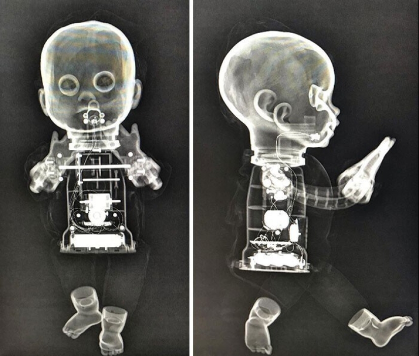 35 x-ray images that reveal the world from an unexpected quarter