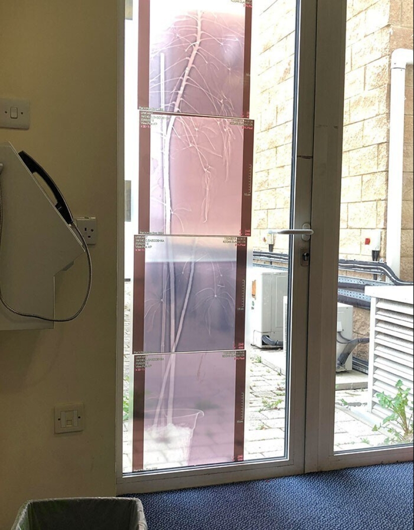 35 x-ray images that reveal the world from an unexpected quarter