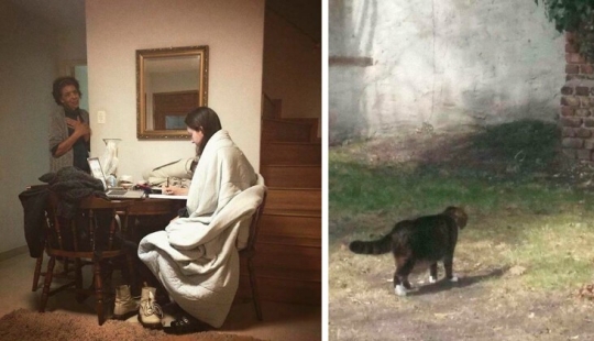 36 veces cuando ella sólo quería tomar una foto, pero resultó una pintura del Renacimiento 36 veces cuando ella sólo quería tomar una foto, pero resultó una pintura del Renacimiento