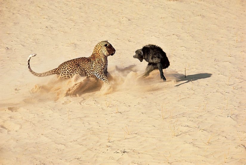 37 años del siglo pasado en fotos de VIDA, de 1936 a 1972 37 años del siglo pasado en fotos de VIDA, de 1936 a 1972