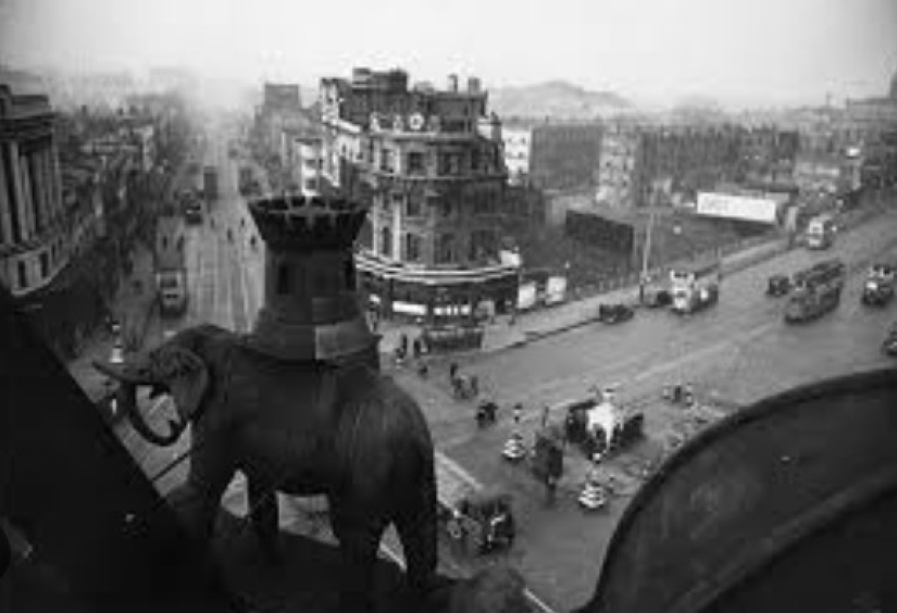 '40 Elephants': The Story of London's Most Daring and Enduring Female Gang '40 Elephants': The Story of London's Most Daring and Enduring Female Gang