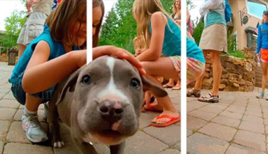 3D glasses are not needed: gifs ready to jump out of the screen