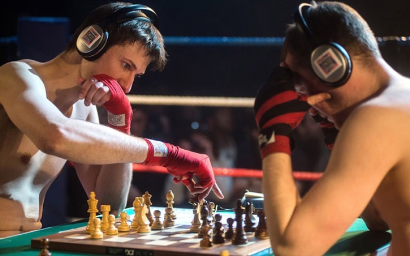 4 facts about chessboxing - an unusual hybrid of chess and boxing
