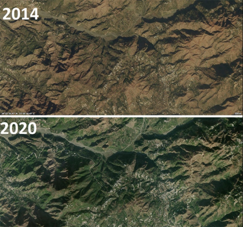 40 amazing comparisons: look anew at familiar