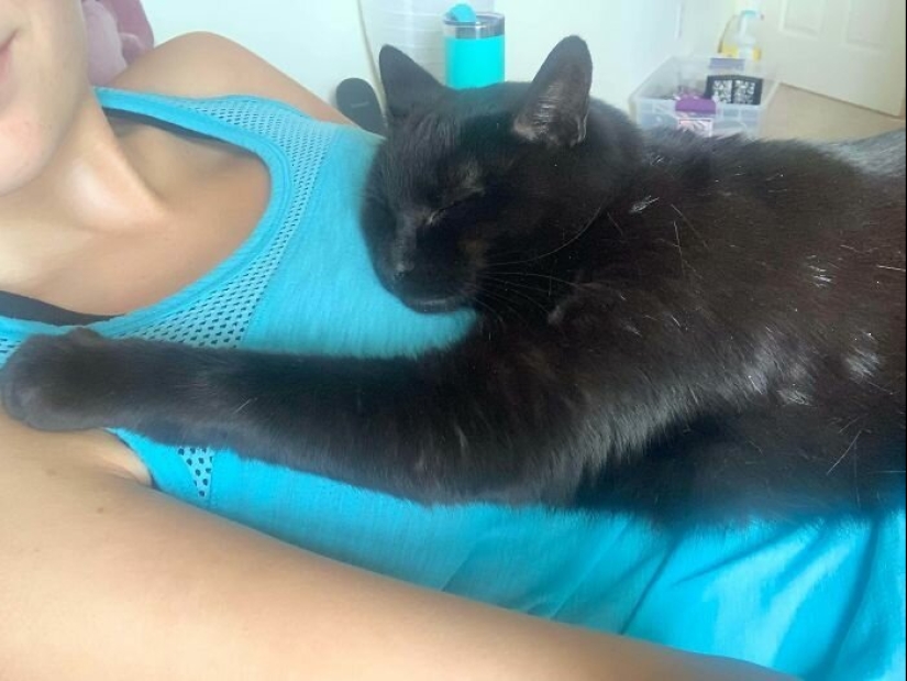40 charming photos of evidence that black cats need not fear 40 charming photos of evidence that black cats need not fear