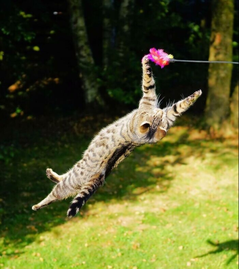 40 datos interesantes y sorprendentes de la comunidad de Reddit "Hoy me enteré"