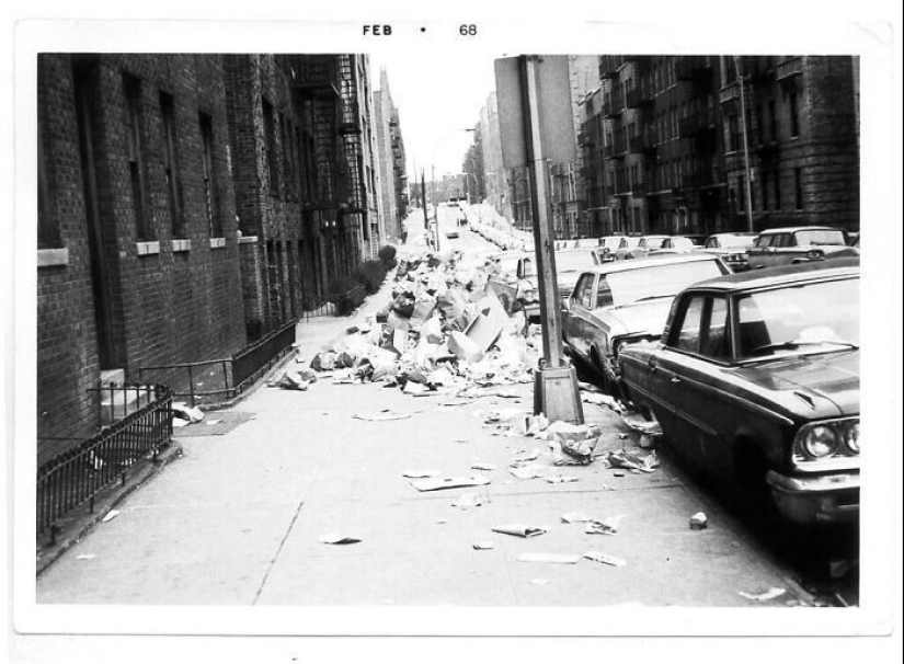 40 datos interesantes y sorprendentes de la comunidad de Reddit "Hoy me enteré"