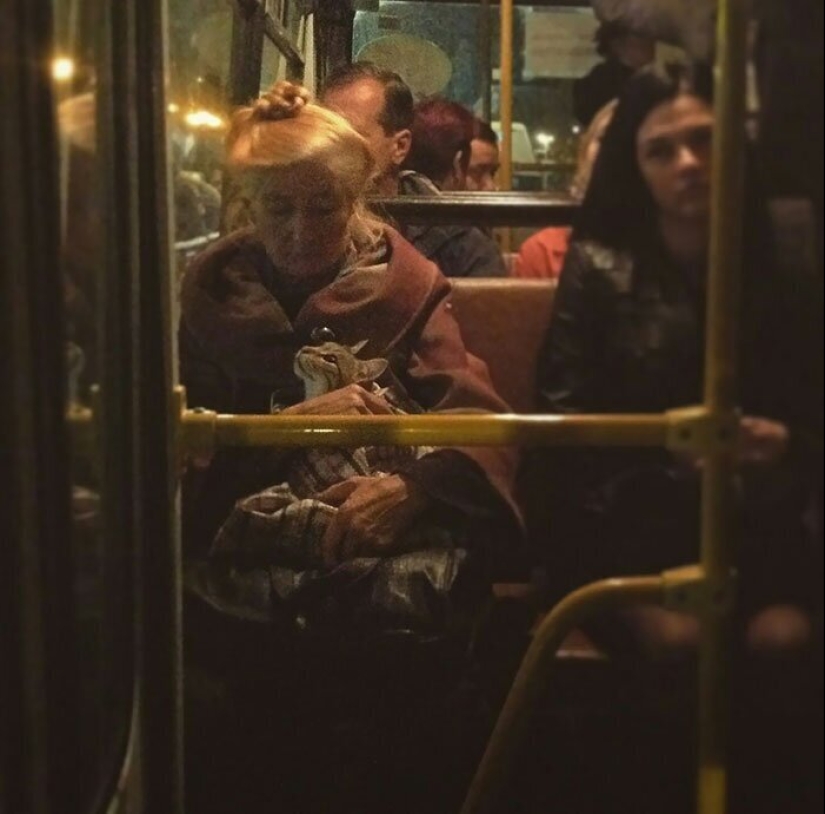 40 dogs and cats whose eyes glow with love and adoration