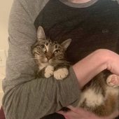 40 dogs and cats whose eyes glow with love and adoration