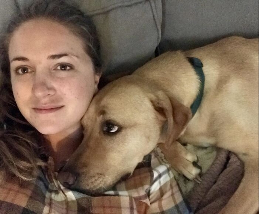 40 dogs and cats whose eyes glow with love and adoration