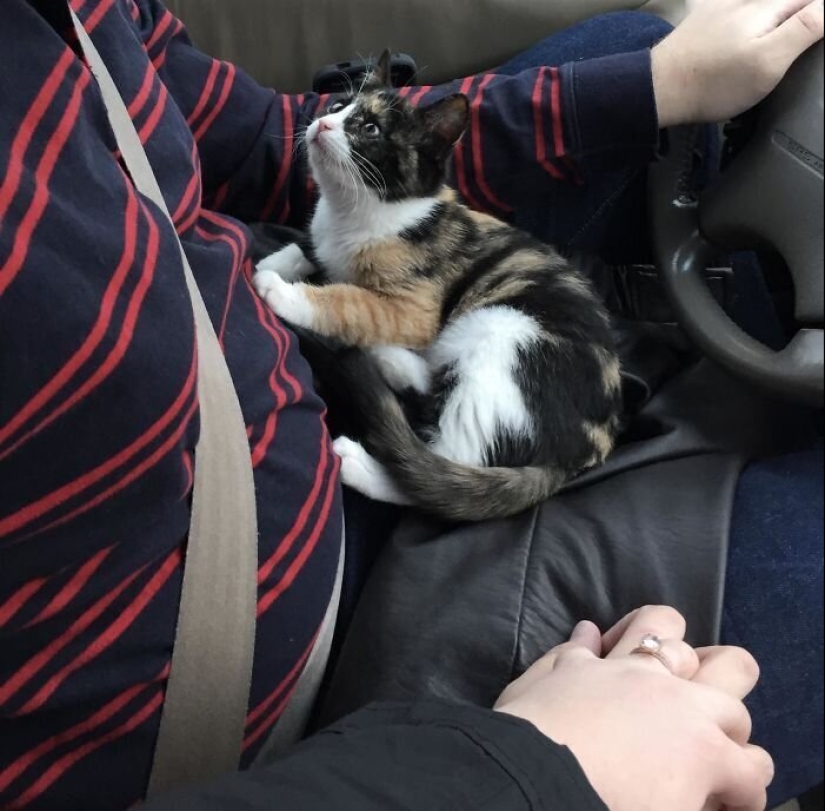 40 dogs and cats whose eyes glow with love and adoration